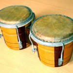 300px-Bongo